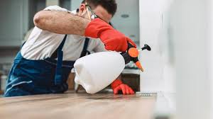 Best Pest Control for Multi-Family Homes  in Black Diamond, WA